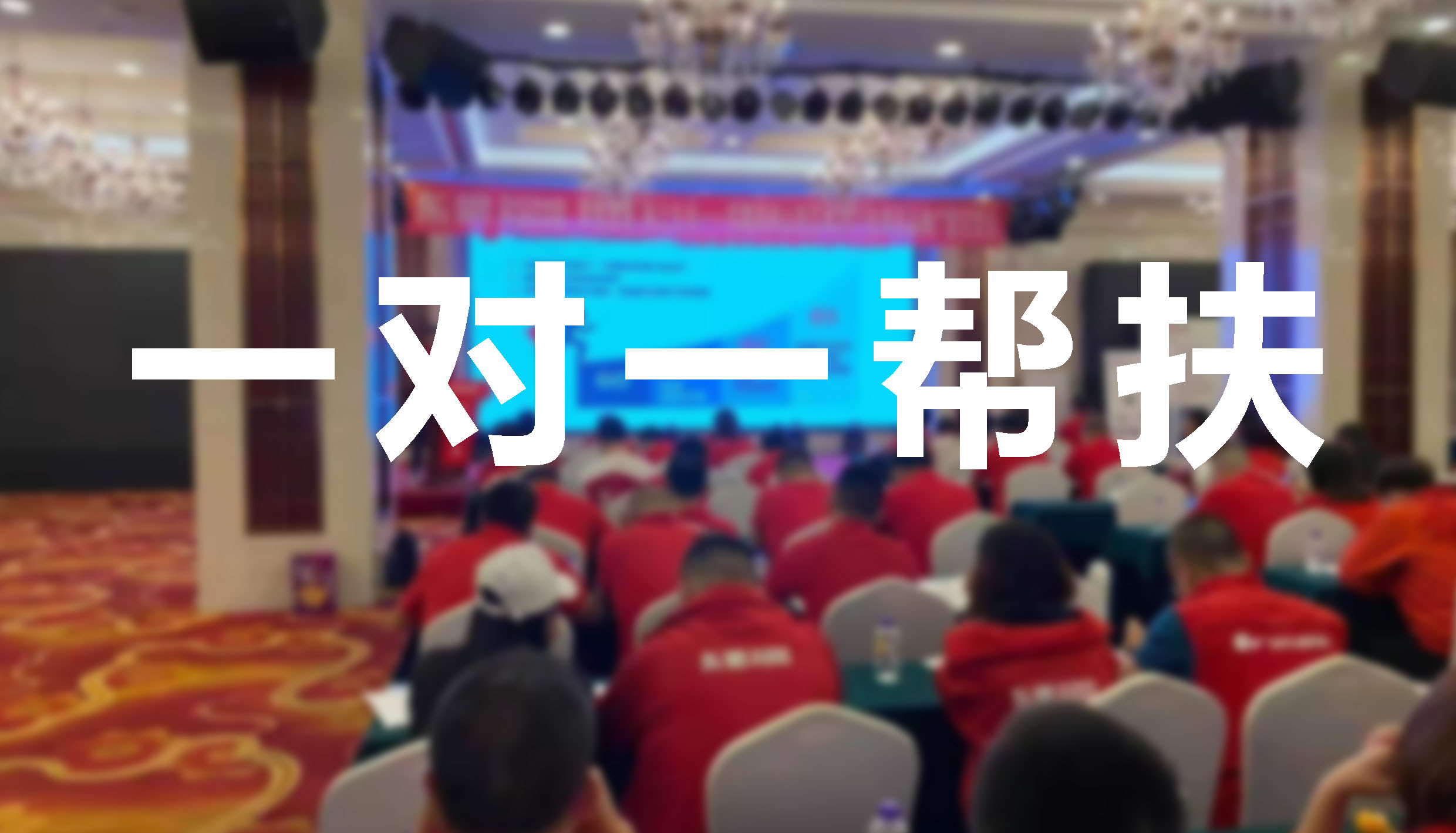 从0到1，保姆式服务，提供墙地一体化解决方案。